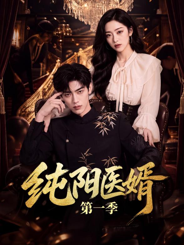纯阳医婿第一季