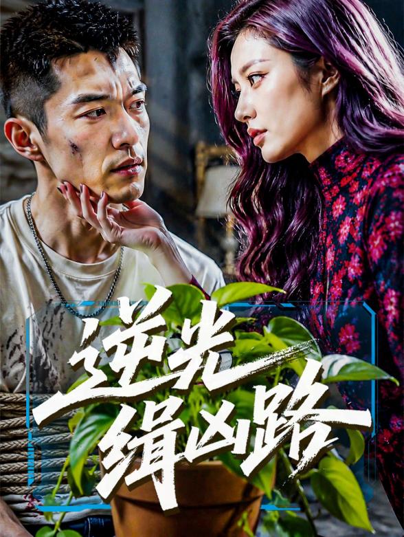 逆光缉凶路封面图