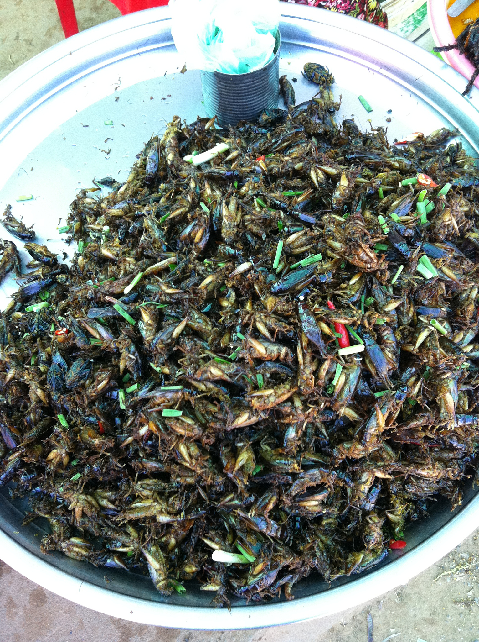 蛐蛐的烹饪方法多样,以下是一些常见的做法:  1.