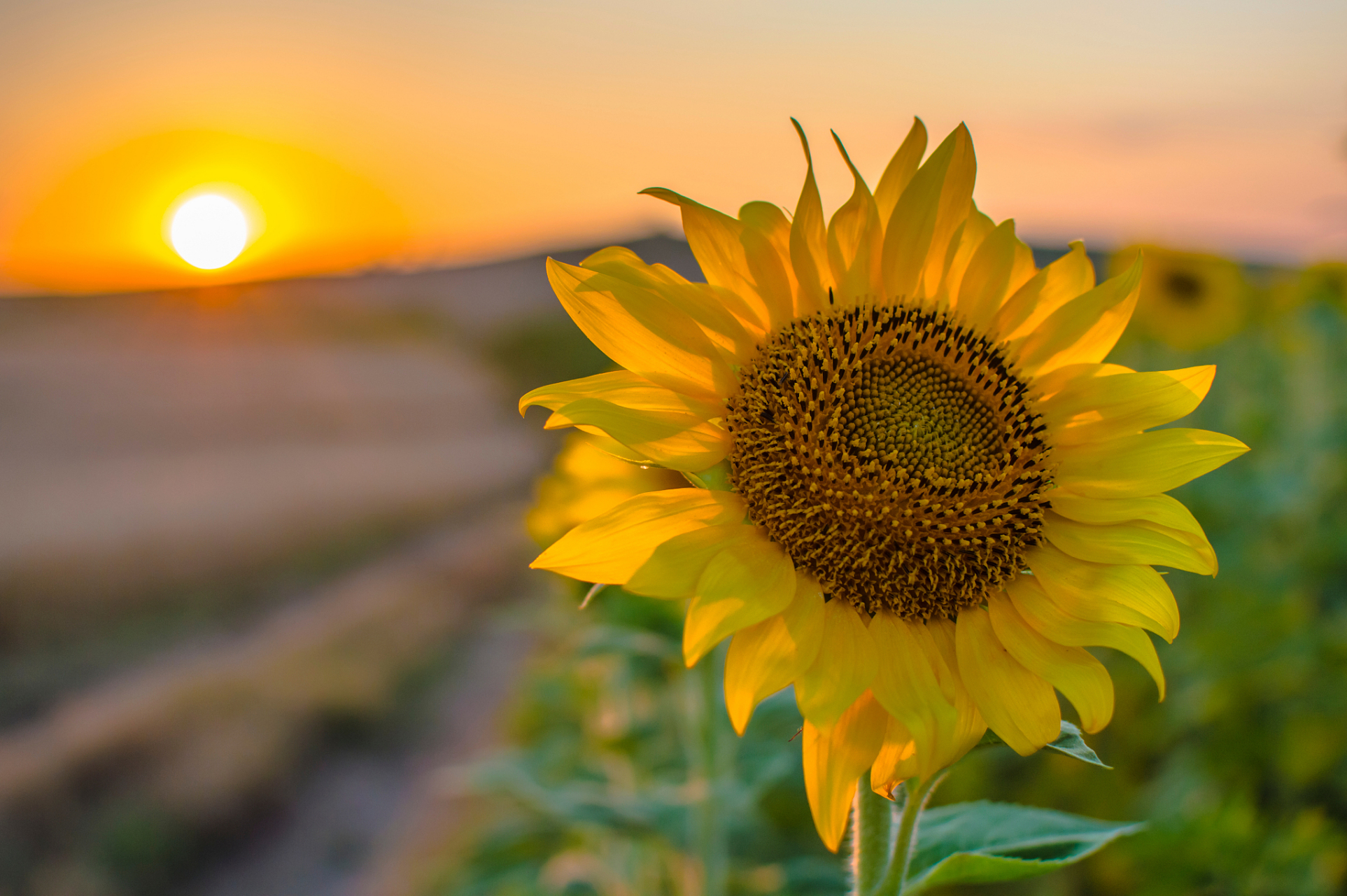 改变命运从心开始!揭秘好心态如何旺风水!