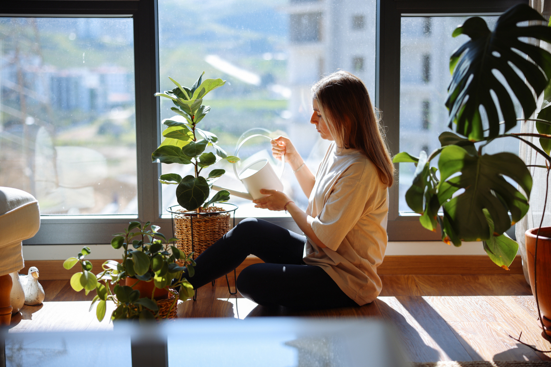 今天阳光明媚,坐在窗边看书真是一种享受.