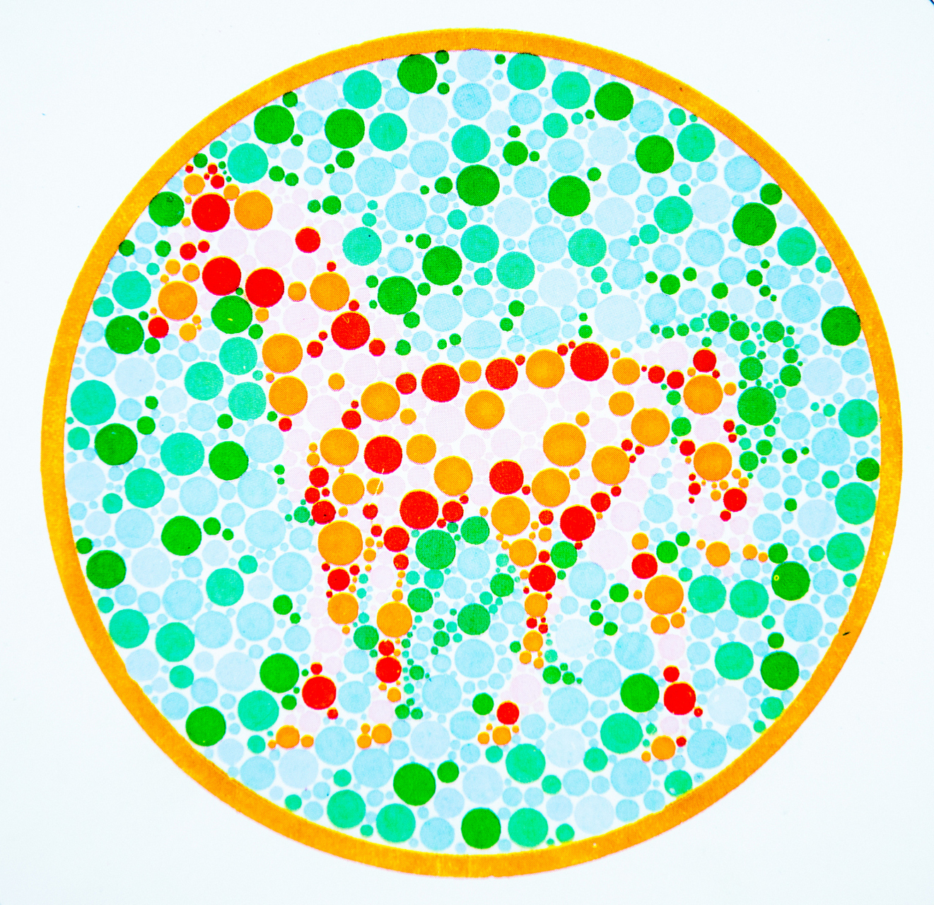 🙏 #驾照之路# #色盲检查#  这几