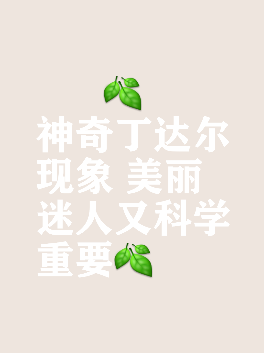 丁达尔效应文案配图图片