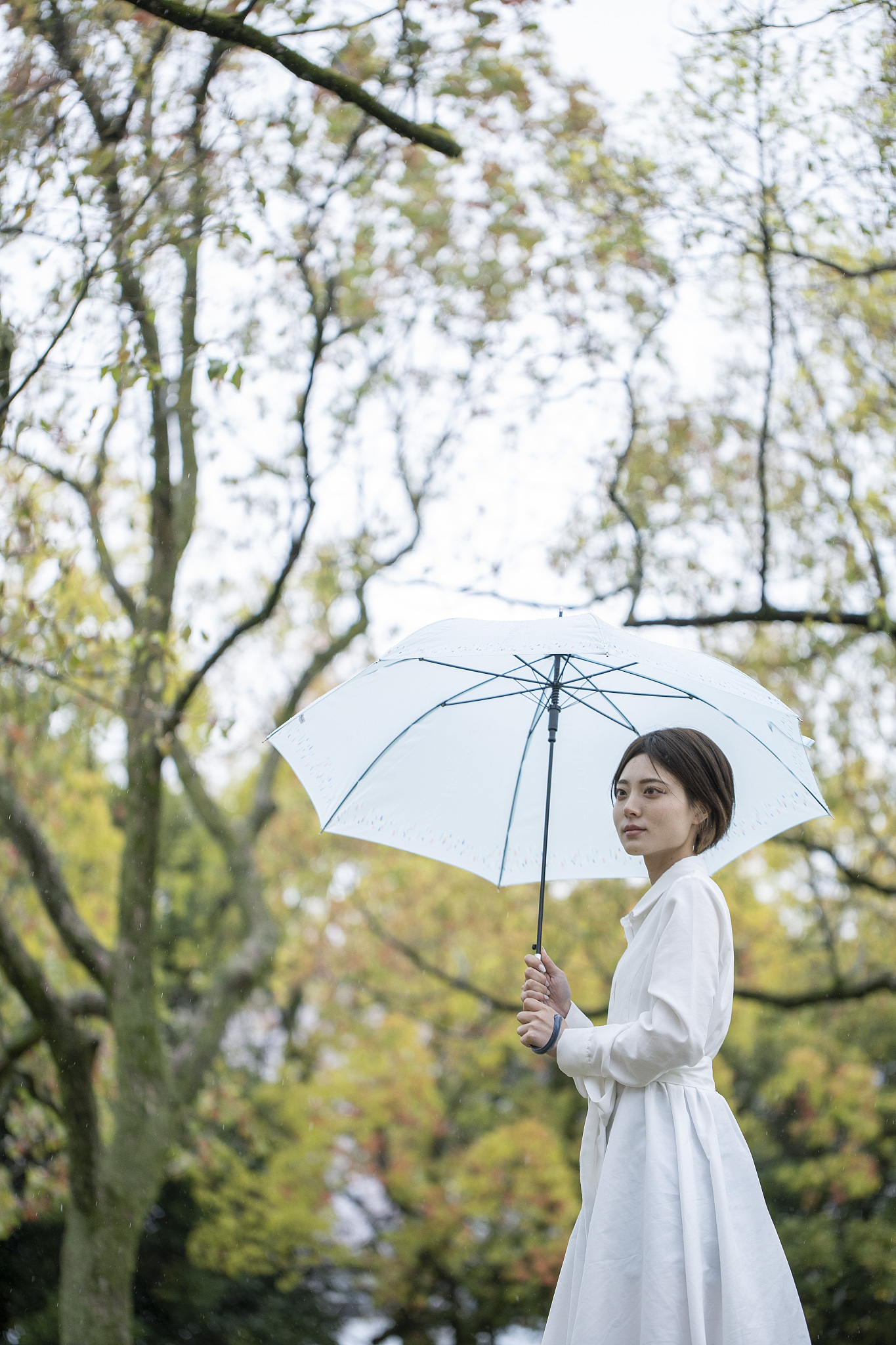 **雨夜奇遇**  夜色渐浓,乌云密布,一场突如其来