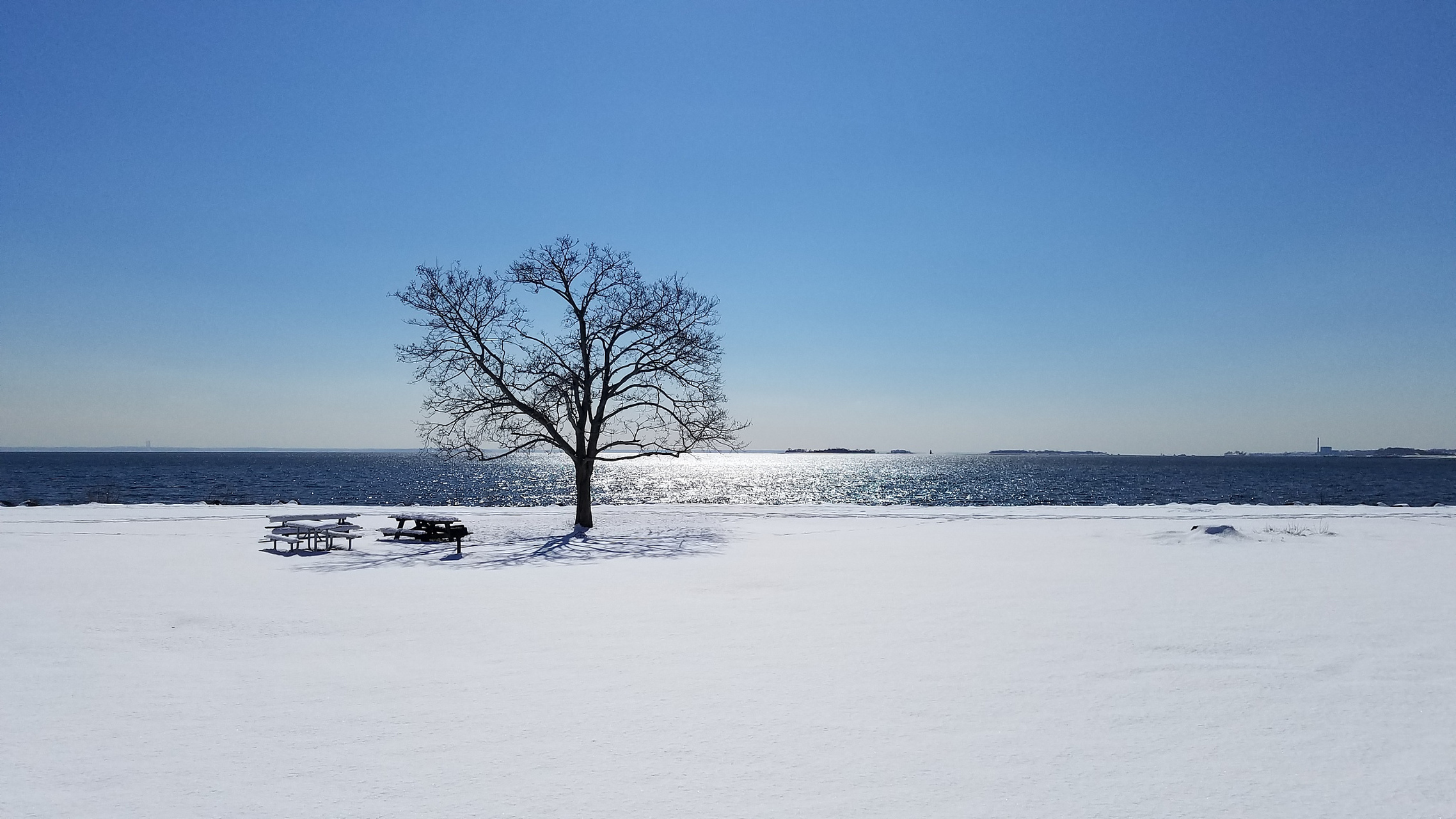 看着窗外飘舞的雪花,仿佛所有的烦恼都瞬间消失.