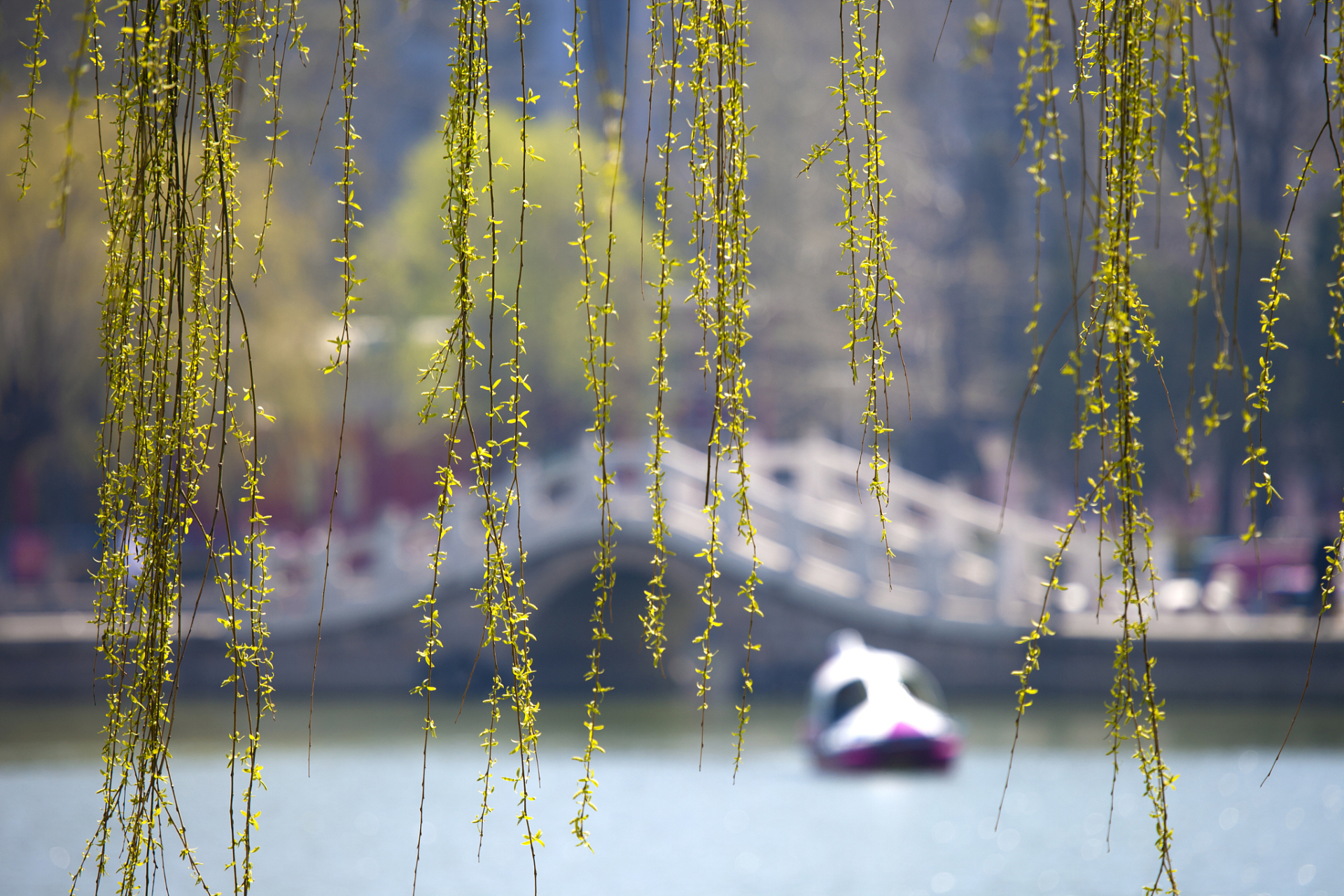 新春杨柳百花香, 诗魂入云融艳阳. 月下静听渔唱晚, 情滿春江鱼满仓.