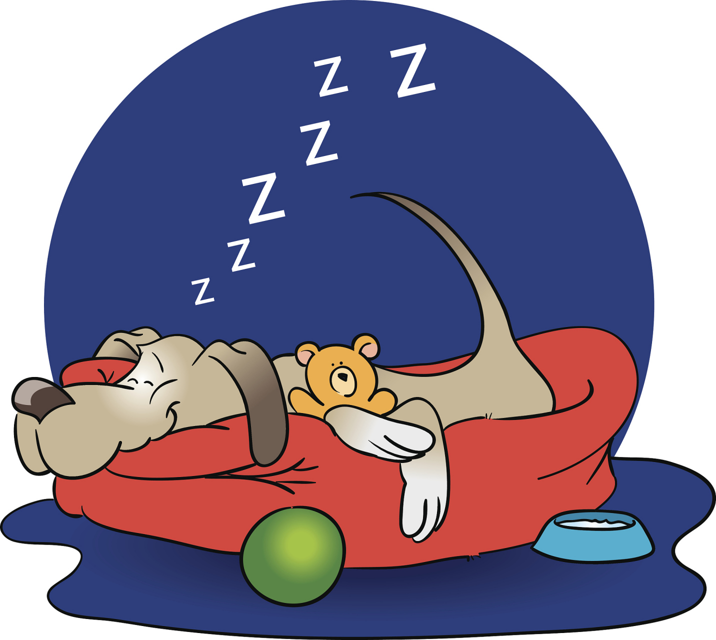 我把瞌睡虫赶跑了  又是新的一夜,不知道今夜瞌睡虫会不会来找我,来吧