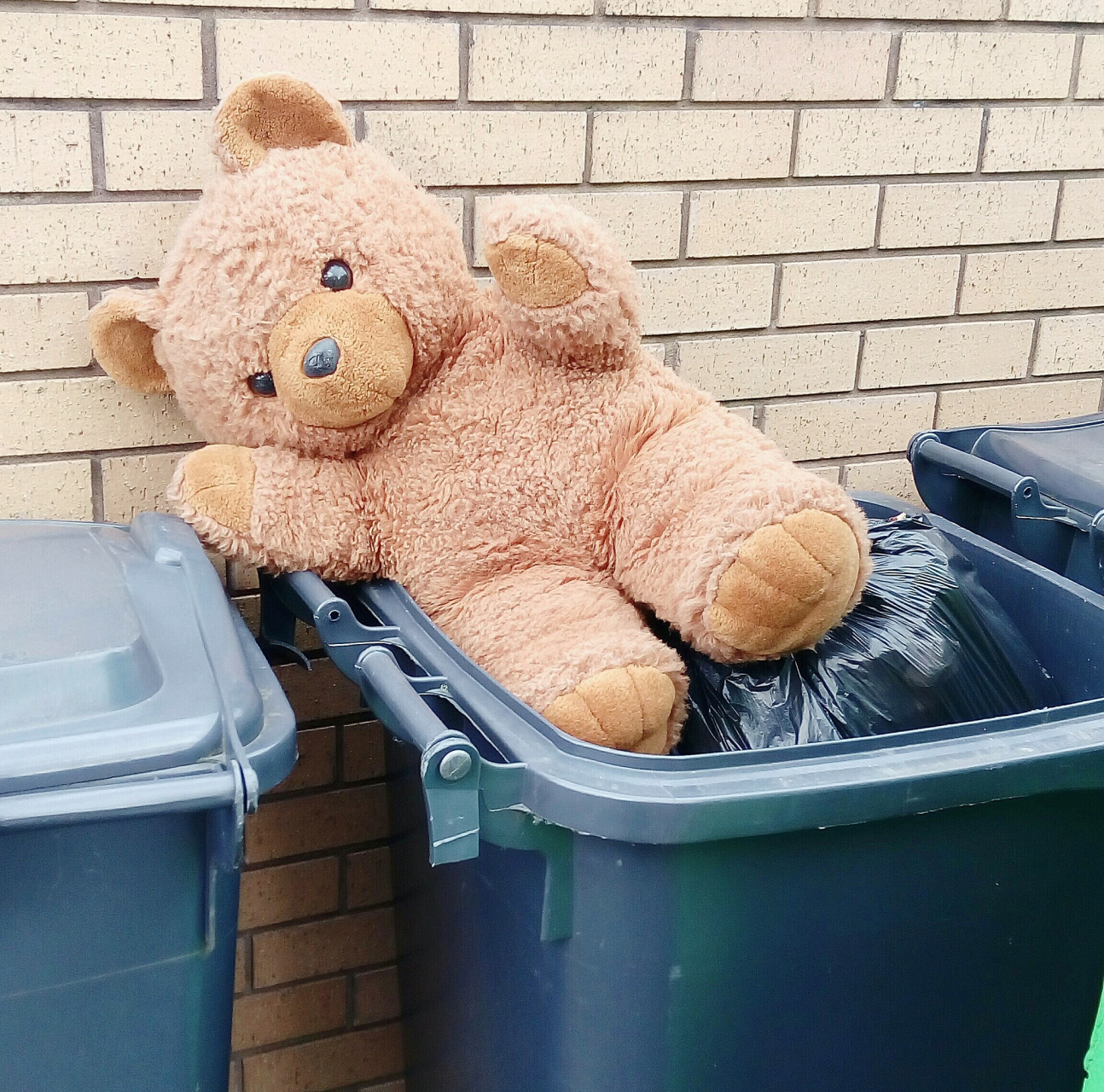 靠墙放置的垃圾桶旁,有一个软萌的白色毛绒玩具熊,真的超级可爱!