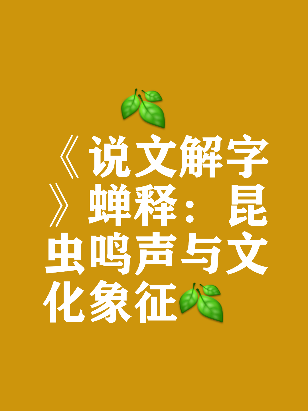 蝉字的图片图片