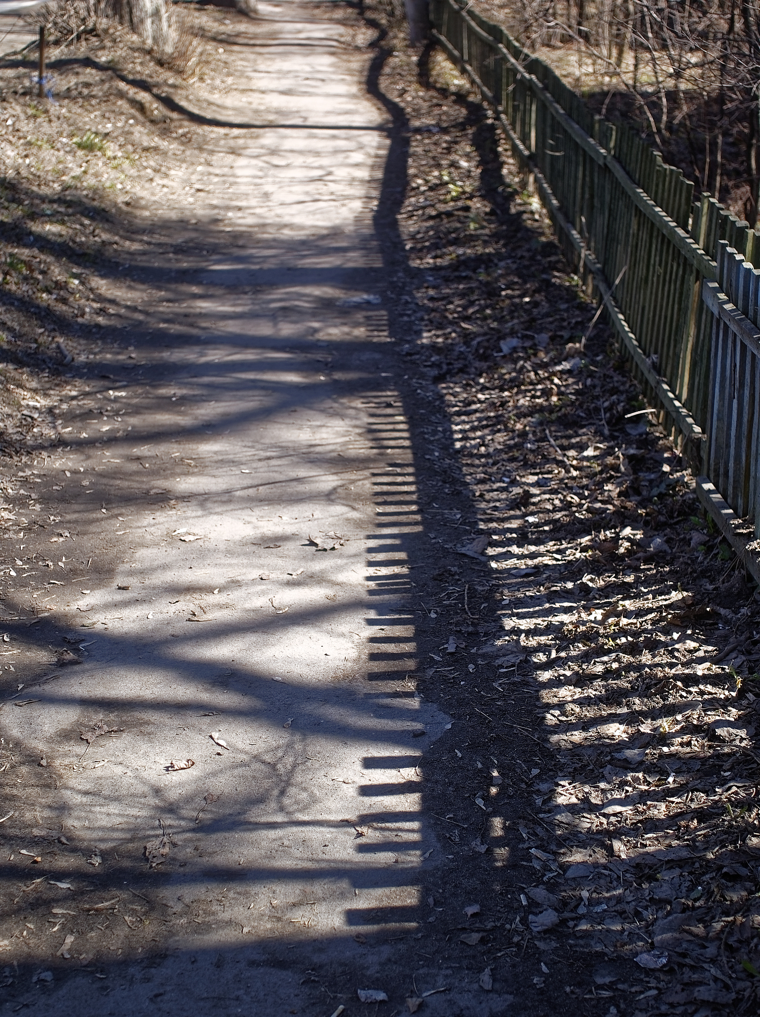 生活,总会在转角处给你惊喜,让我们勇敢前行,去拥抱每一个未知的可能.