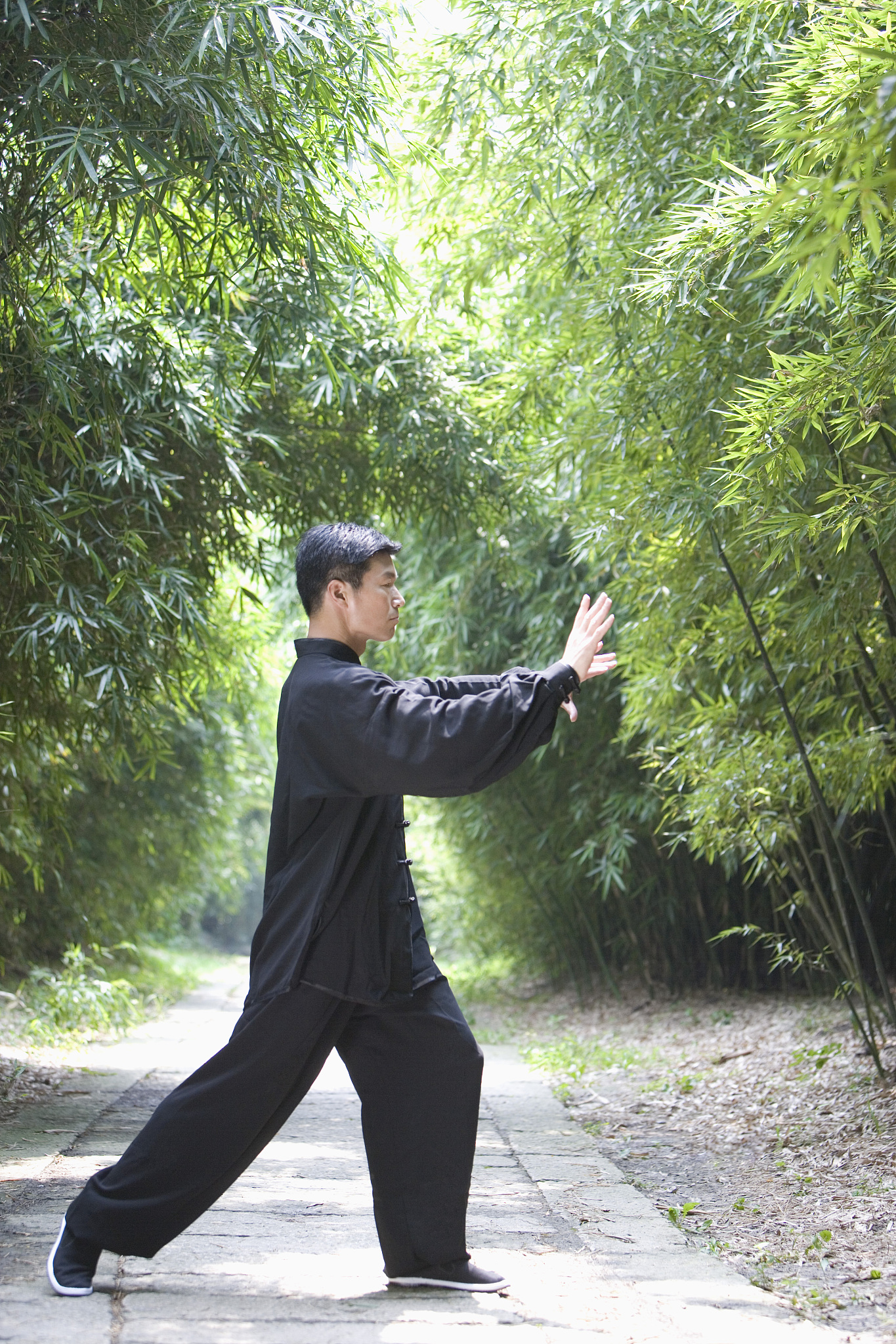 今天开始学习站桩,混元桩.