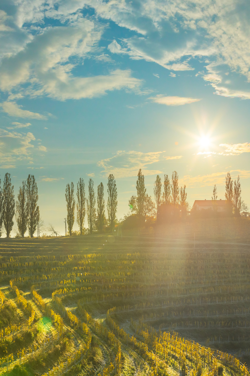 夏日炎炎,阳光炙烤着大地,这才是夏天该有的模样!