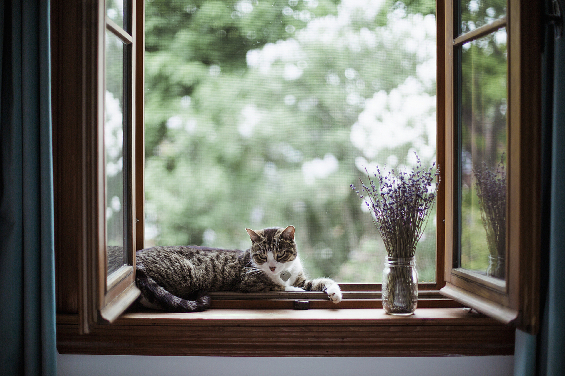 刚刚,阳光洒在窗台上,我慵懒地伸了个懒腰,感觉整个世界都明亮了起来.