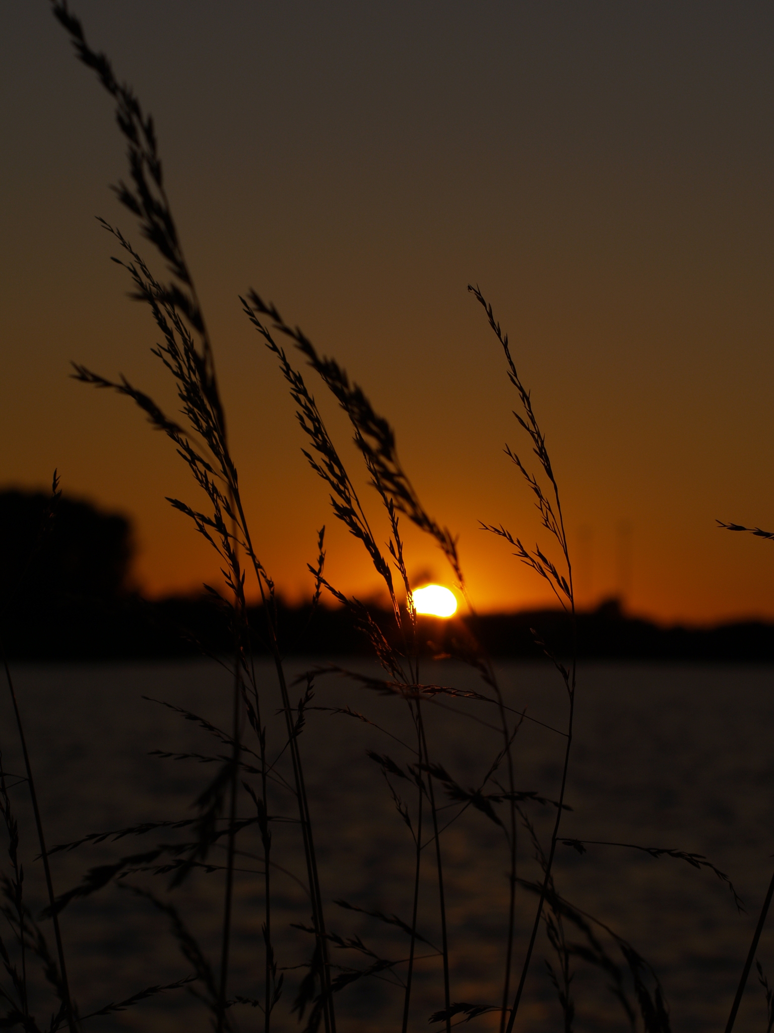 傍晚风吹枯草的图片暮夜暖阳图片天边的暮色图片日暮黄昏暮光晚霞图片