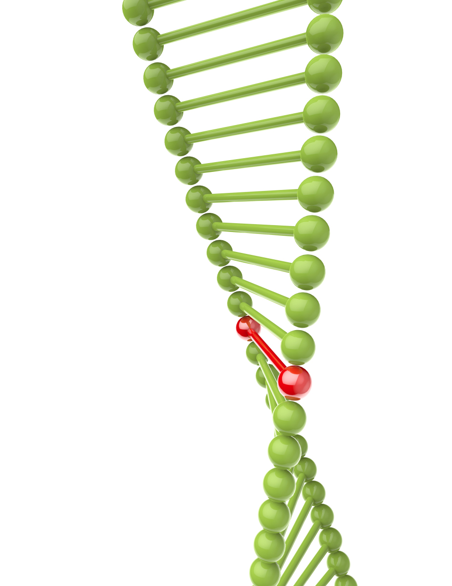 教育启航计划 dna的双螺旋结构 这种结构由詹姆斯·沃森和弗朗西恕い