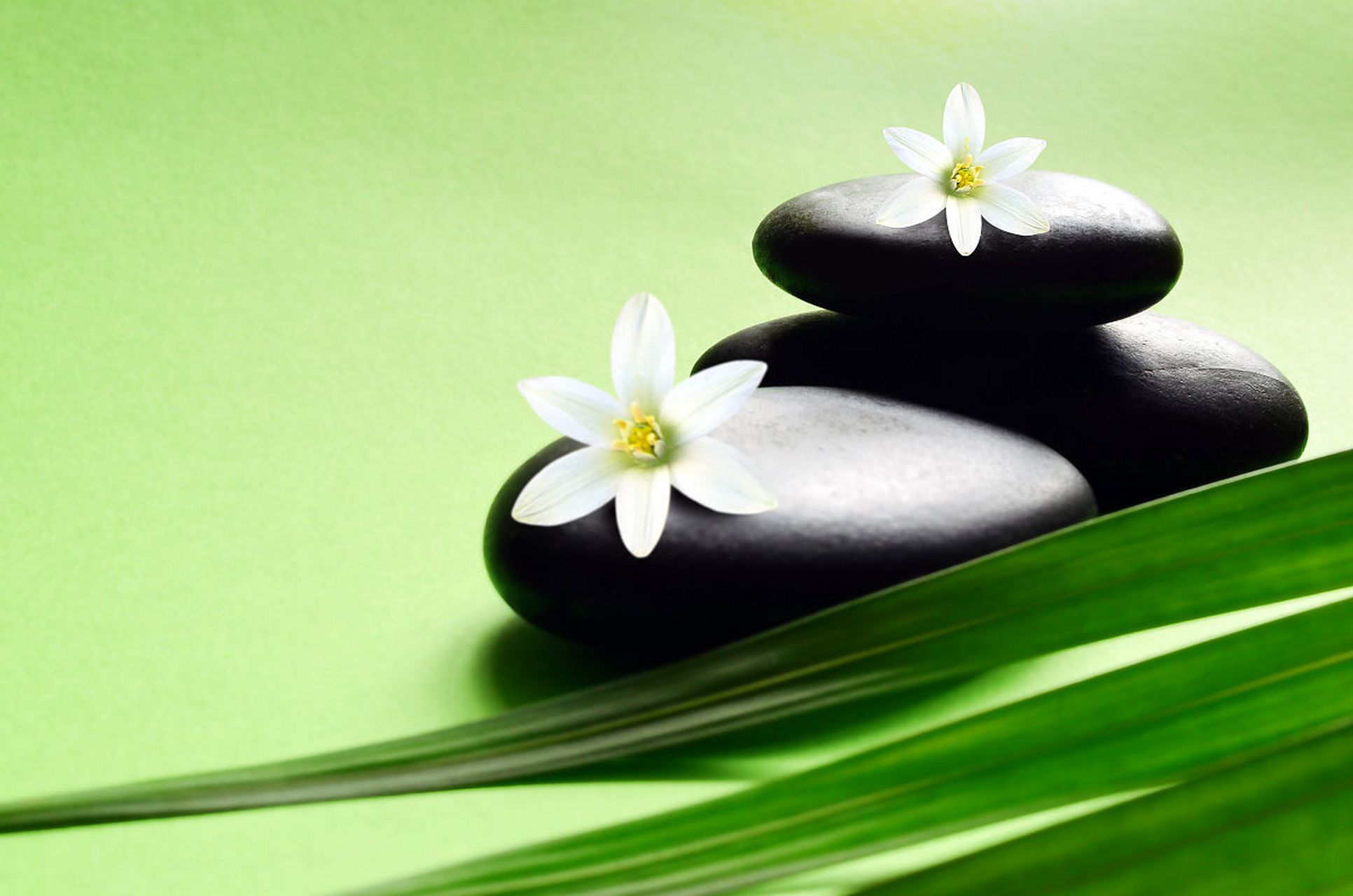 静心修行,铸就优雅人生!----安静,是一个人最高级的修行!