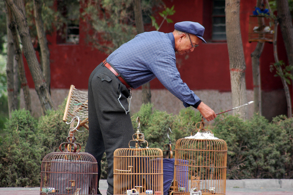 今天早上晨跑,遇到三个遛鸟的老人