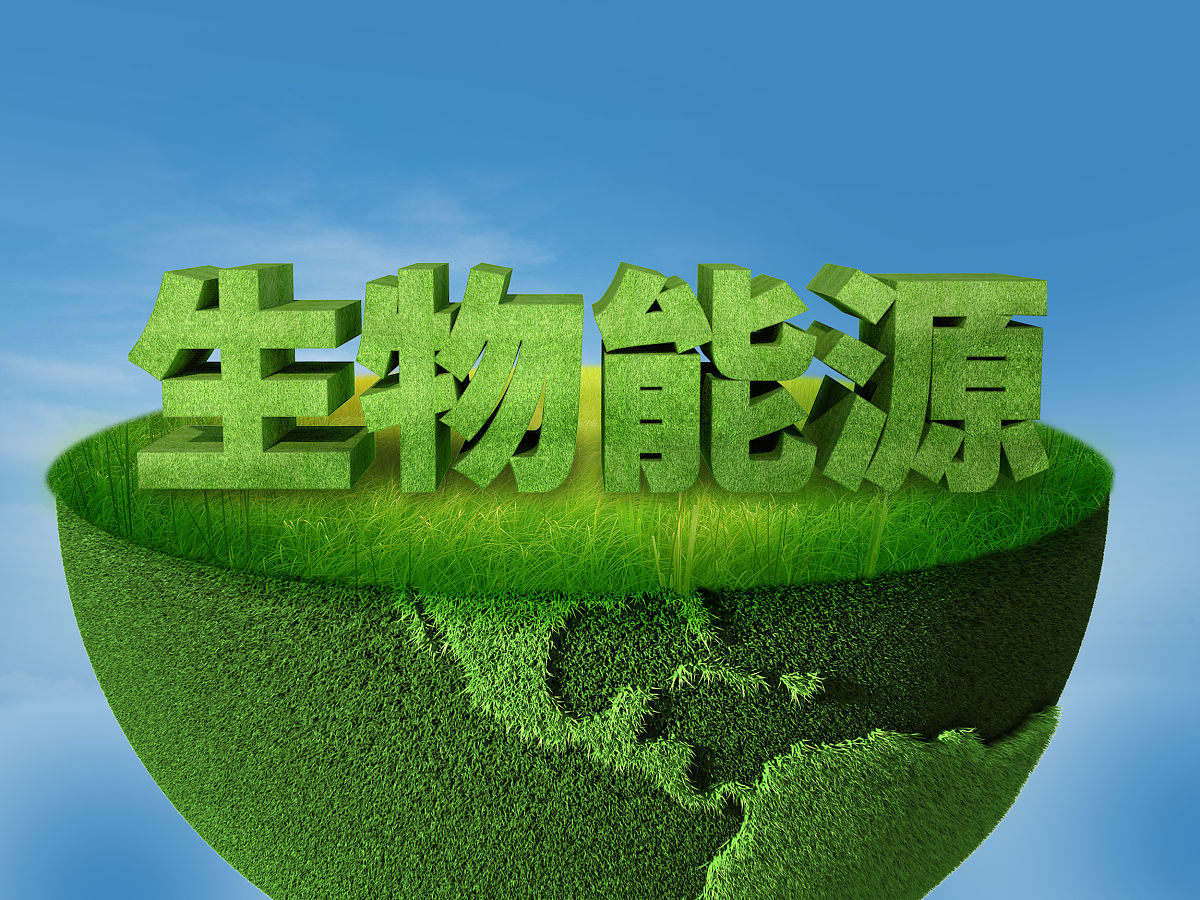 2026生物质能源行业市场规模与未来趋势洞察