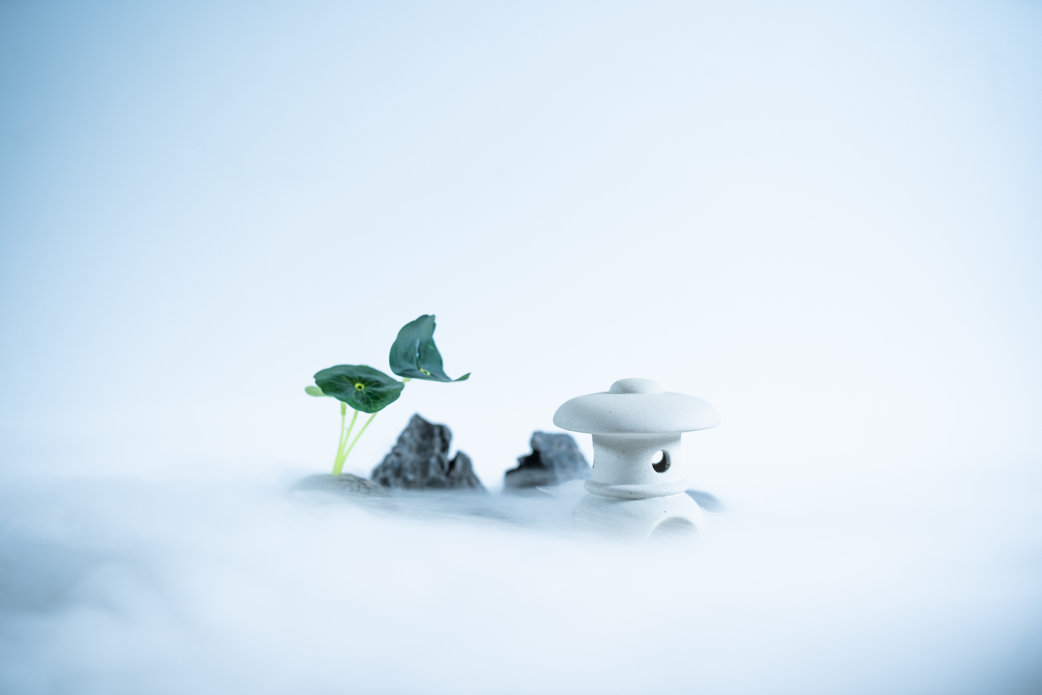 此刻的心境就像这杯茶,清香淡雅,宁静致远.