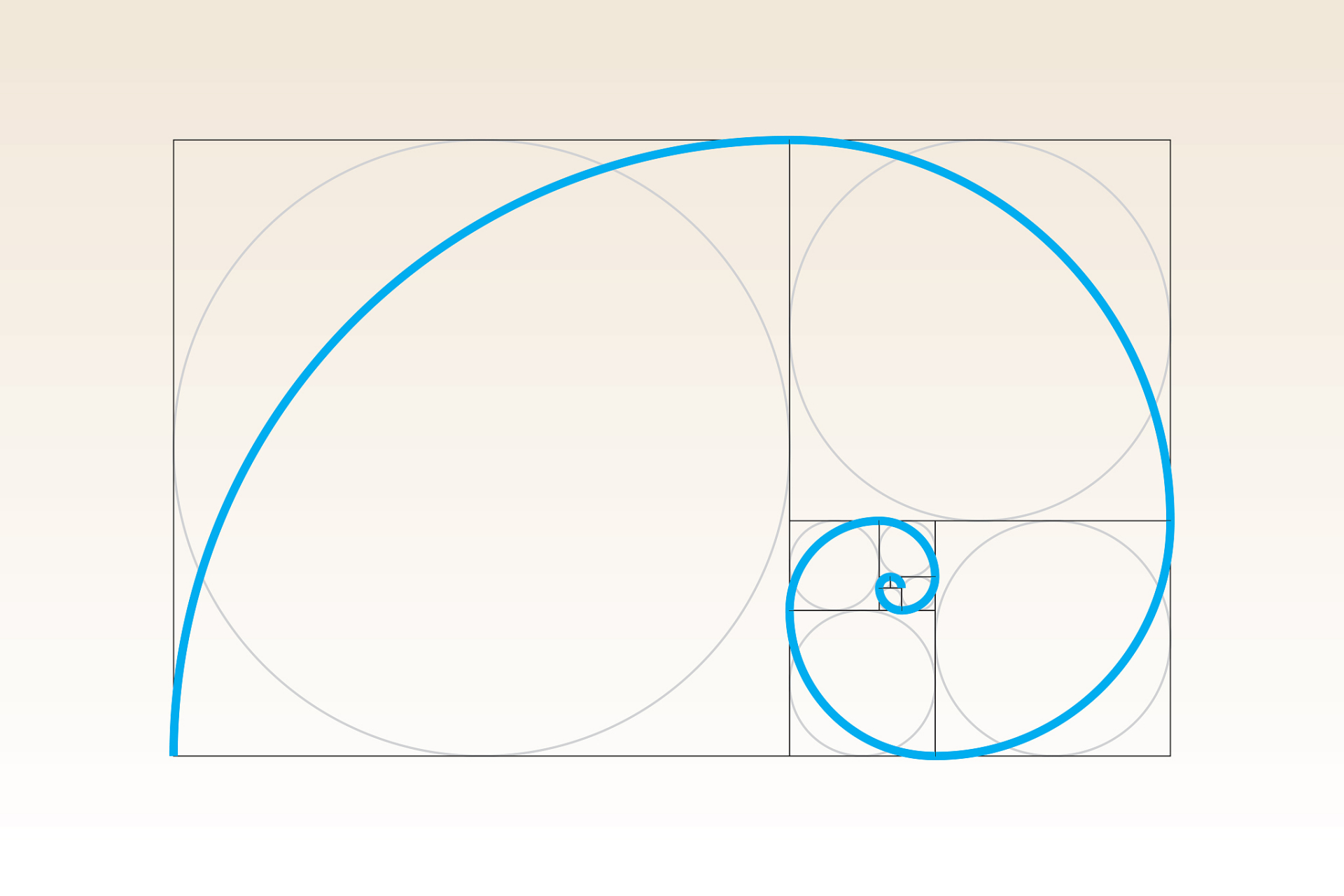 教育启航计划#黄金分割比:在自然界和艺术作品中,我们经常能发现一种