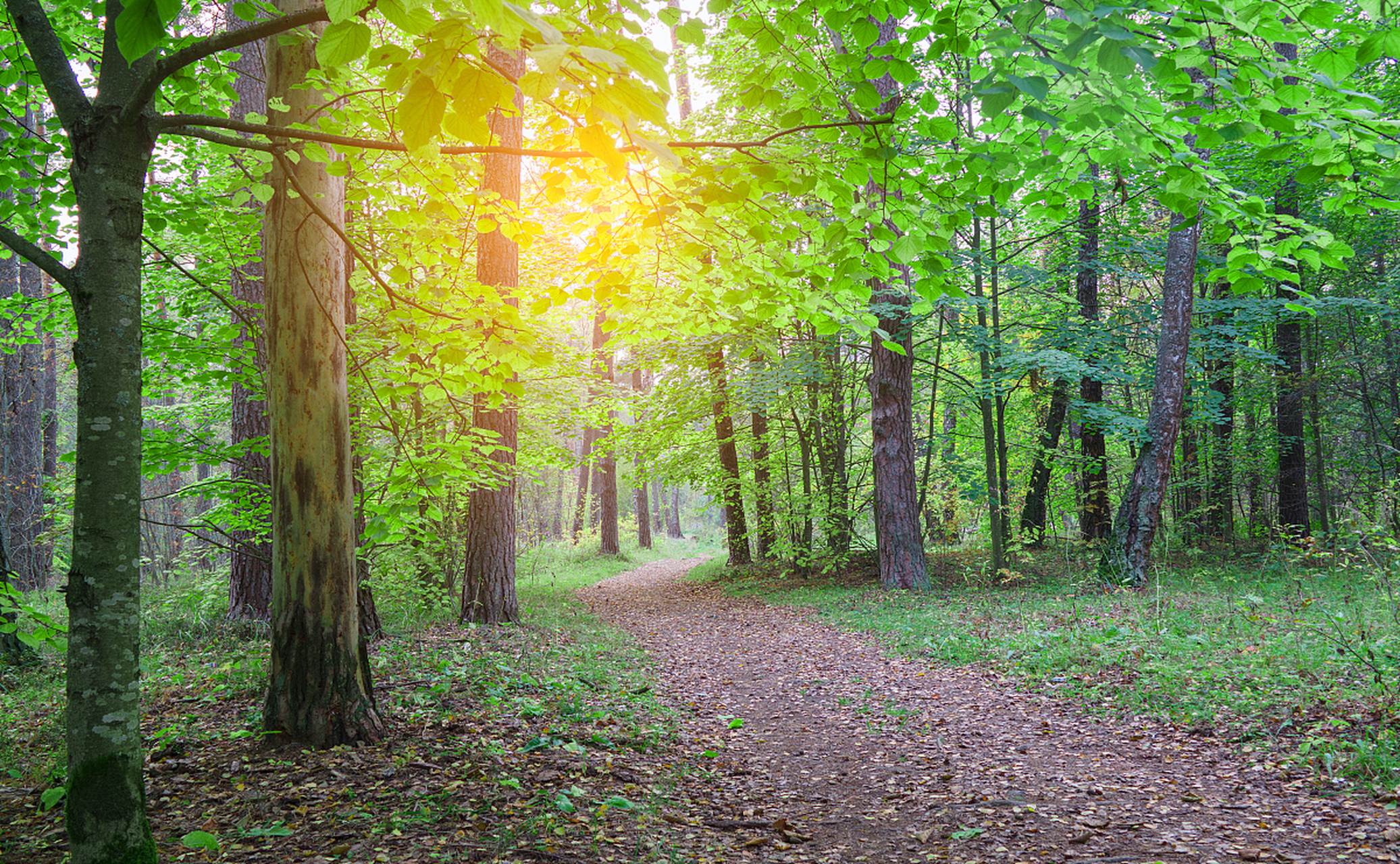 与大自然亲近,让我找回内心的平静.