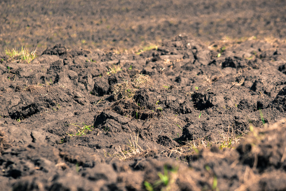 年在家乡# 回到家乡,空气都带着熟悉的泥土味.