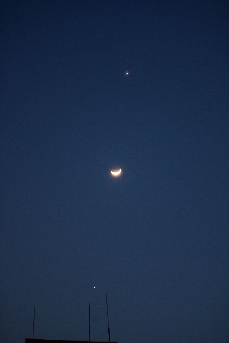 今天的夜空格外明亮,星星仿佛在向龙舞动