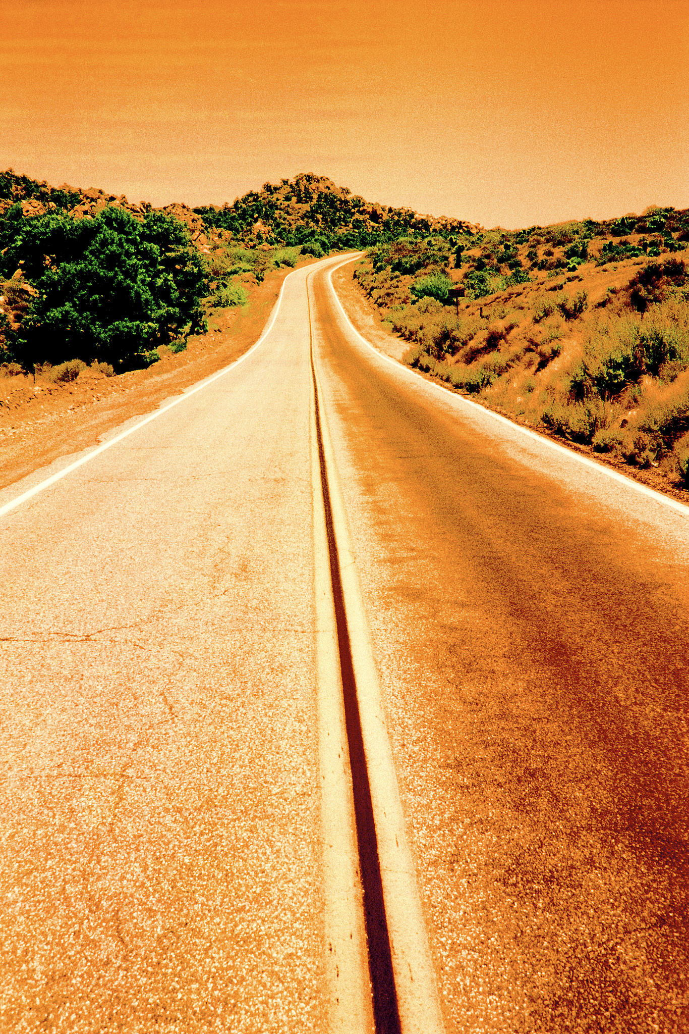 我健康自由,世界在我面前,  长长褐色的大路在