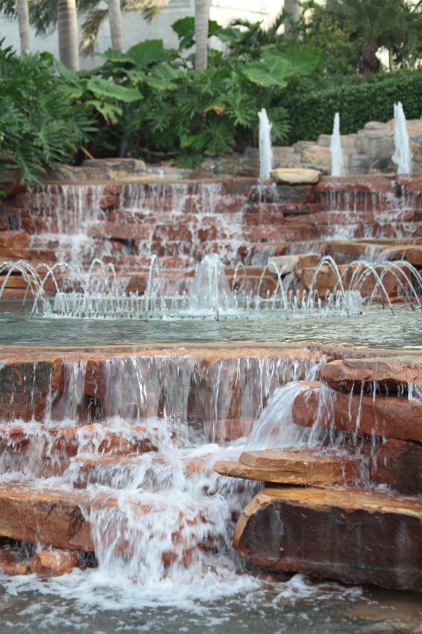 踏莎行音响泉喷 @心海