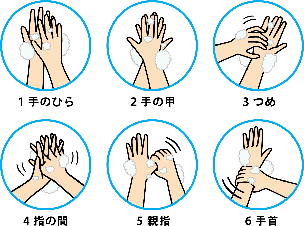 关注世界卫生日#每日个人卫生不容忽视,科学勤洗手助力健康防护