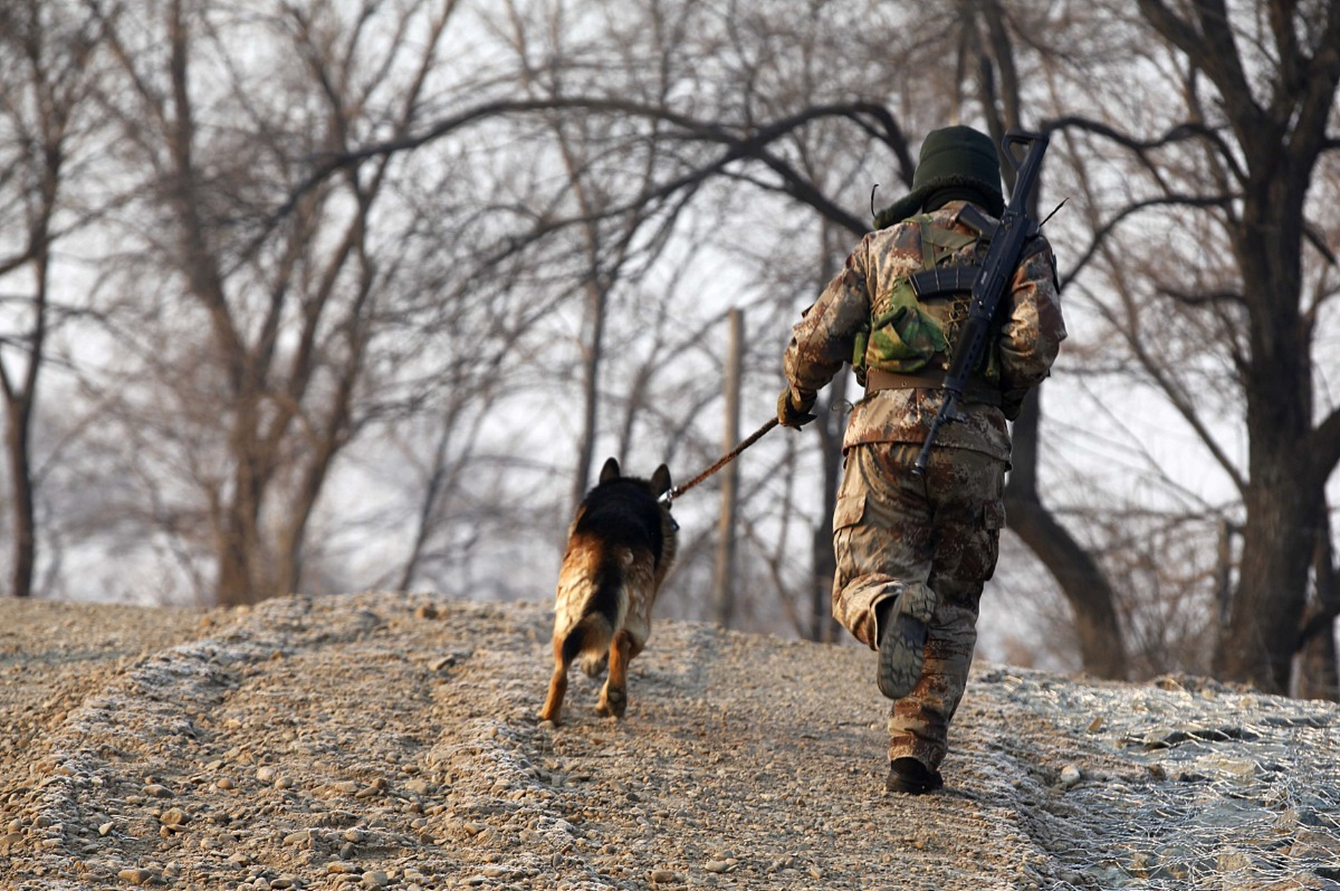 士兵和军犬背景图片图片