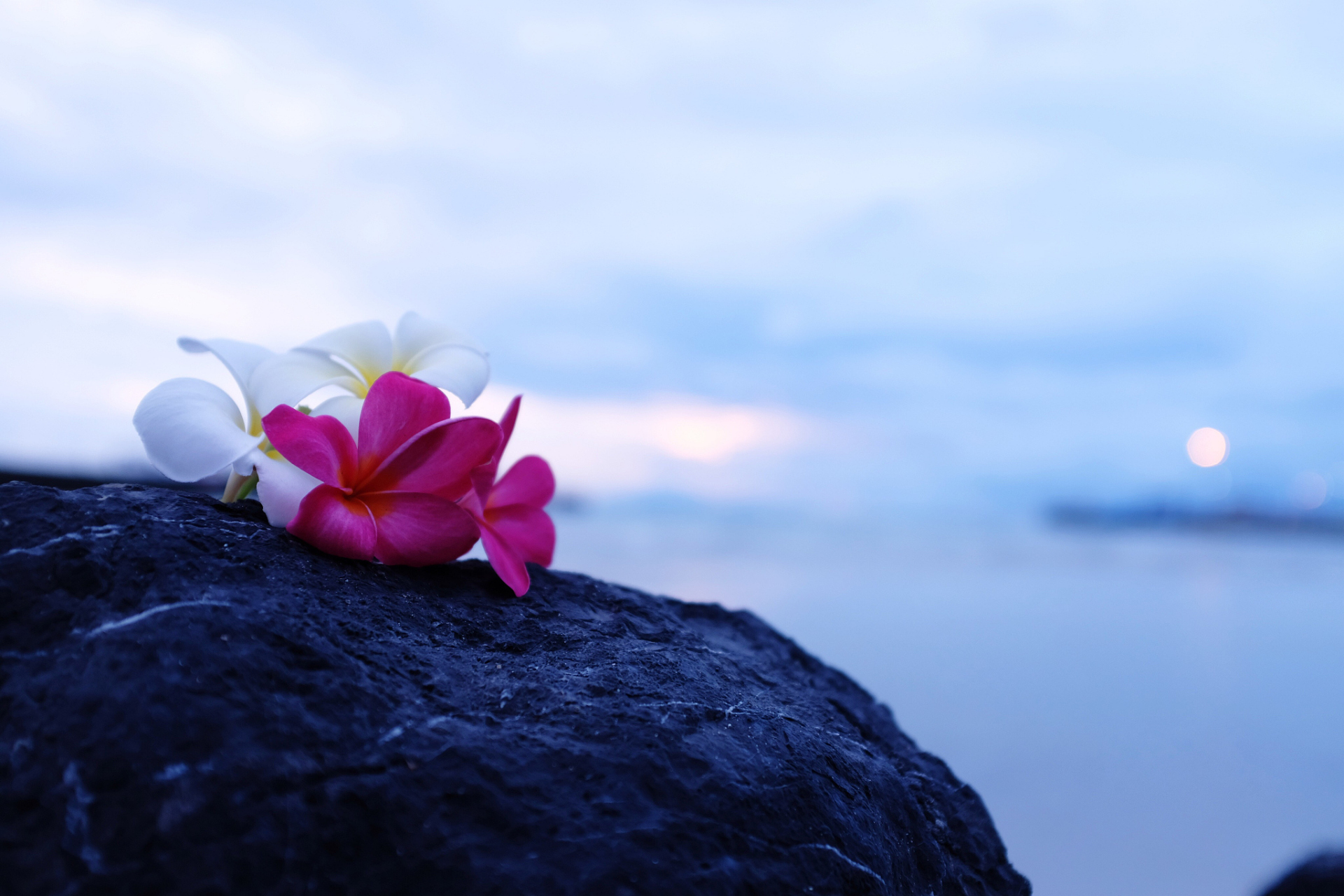 得失,不骄不躁,从而在生活的起伏中保持平衡,享受内心的安宁与满足