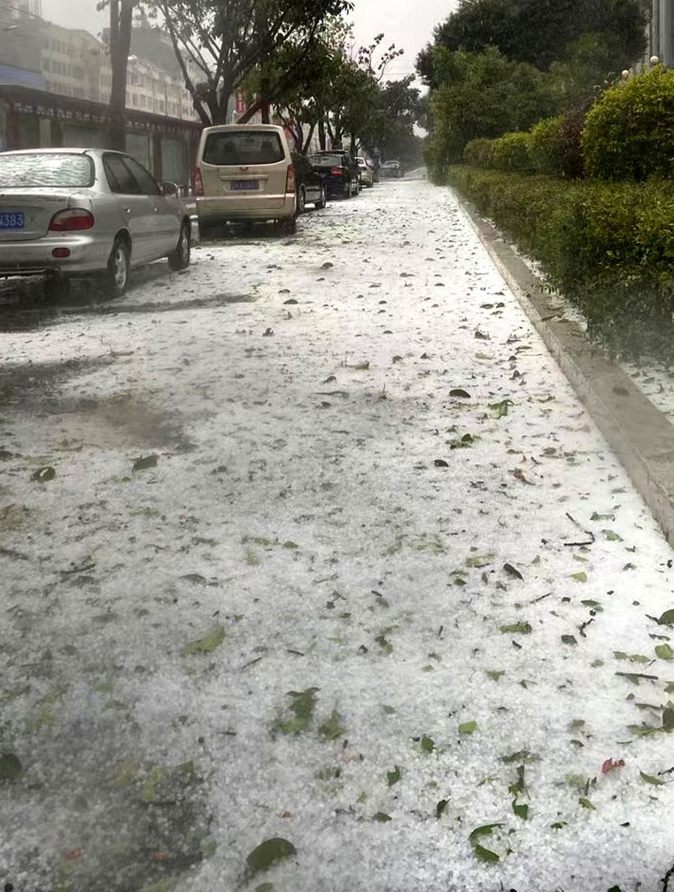 今早长沙宁乡等地下起冰雹,这会还雷声阵阵的,我懒在家里不想动,在