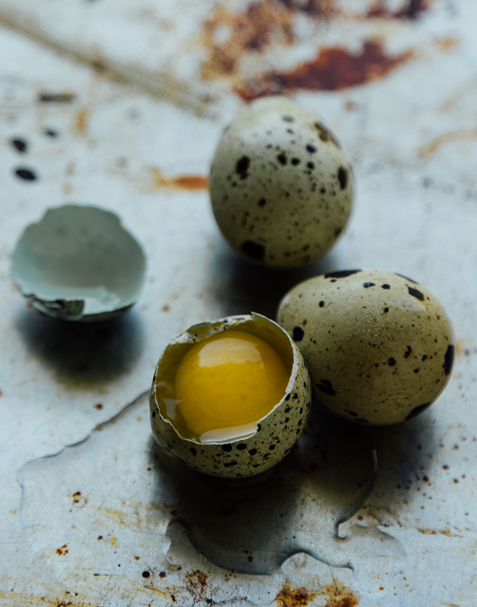 褐色,上面点缀着不规则的斑点,宛如大自然精心鹧鸪蛋图片鹧鸪鸟蛋鹧鸪