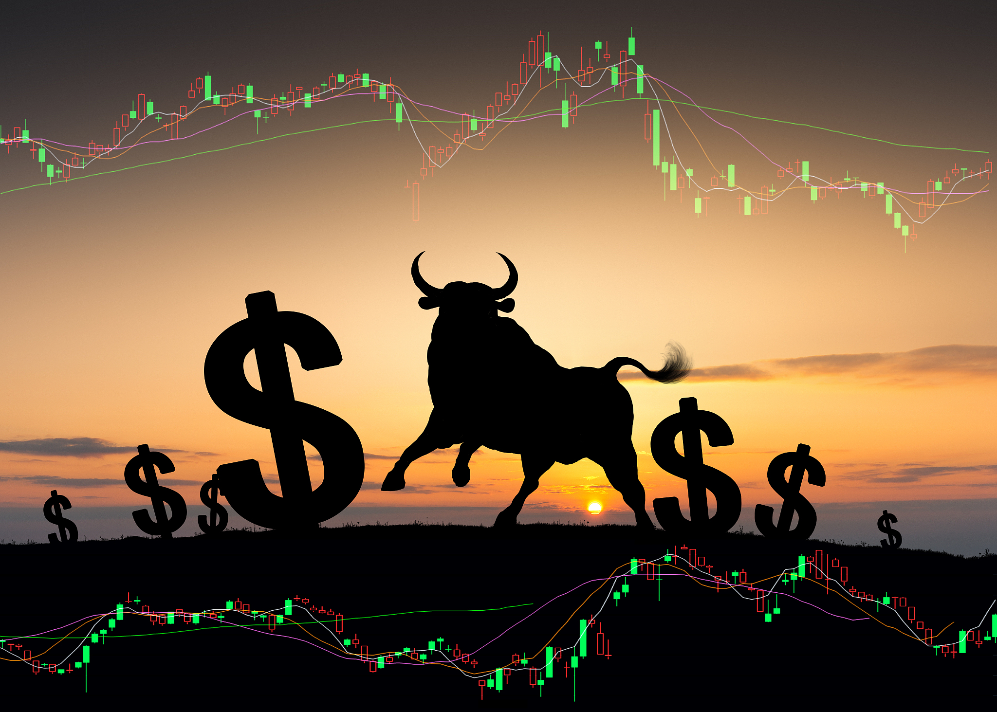 一线私募把脉A股 投资需精细平衡风险与收益