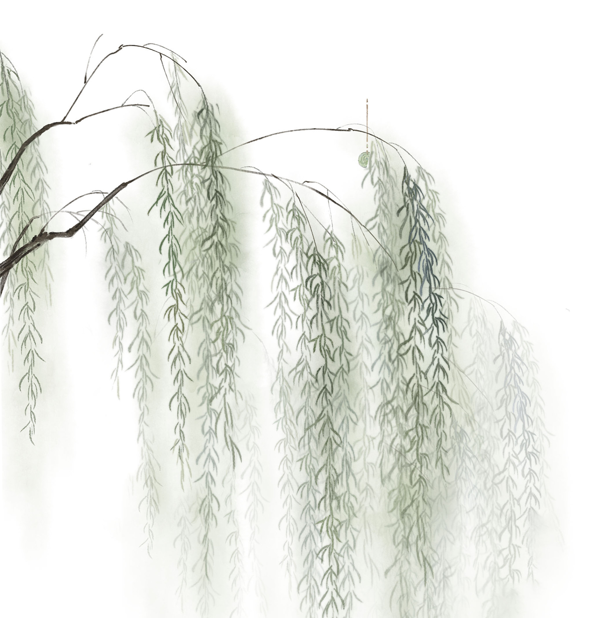 首先,柳树在中国的植柳历史可以追溯至远古时期