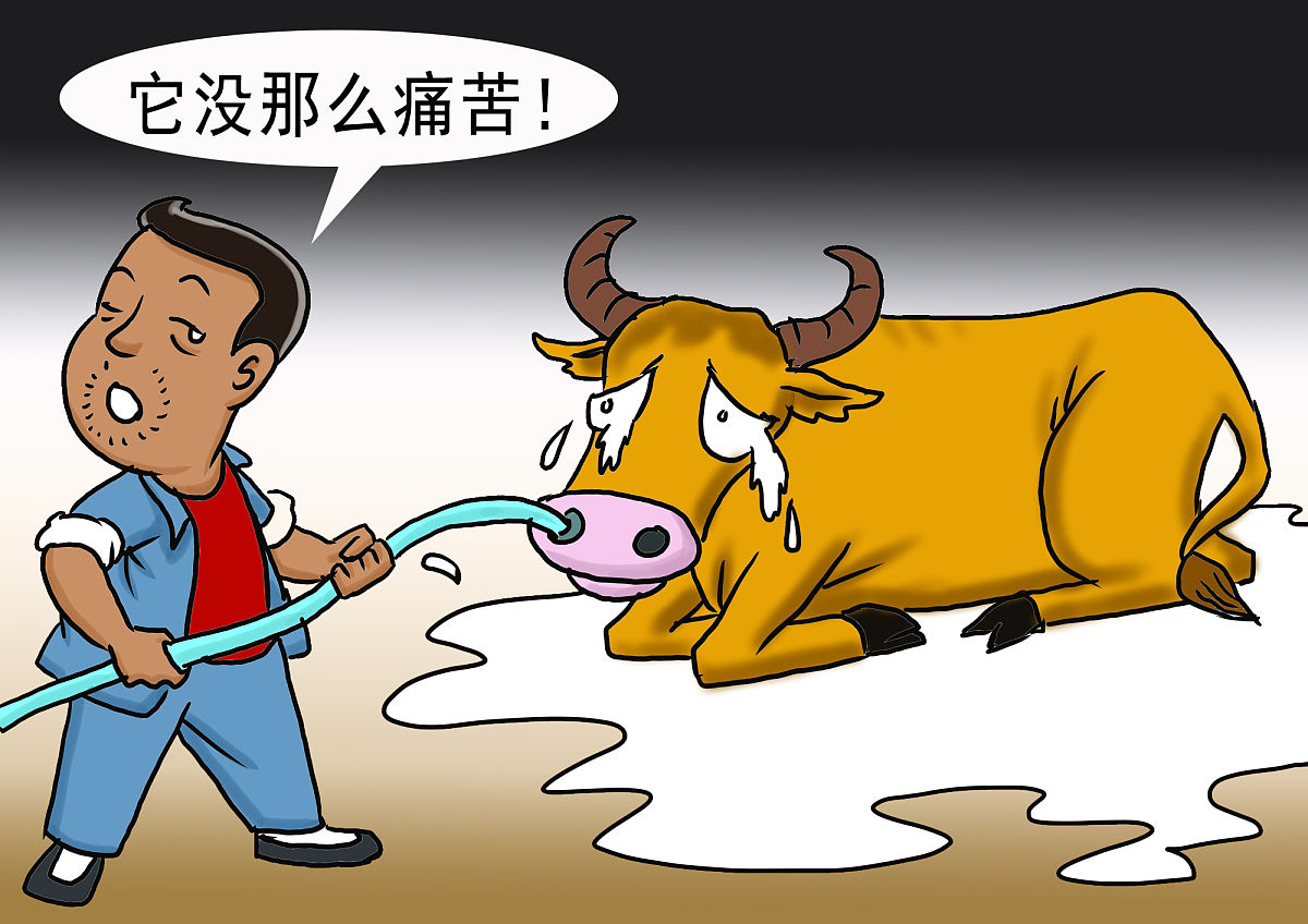 村里熟悉我老父亲的人都知道他从不吃牛肉,早几天,儿子问我原因,我向