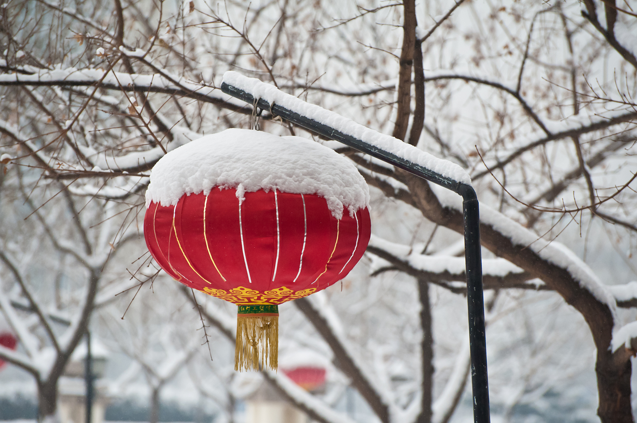 新年冬天的图片景色图片