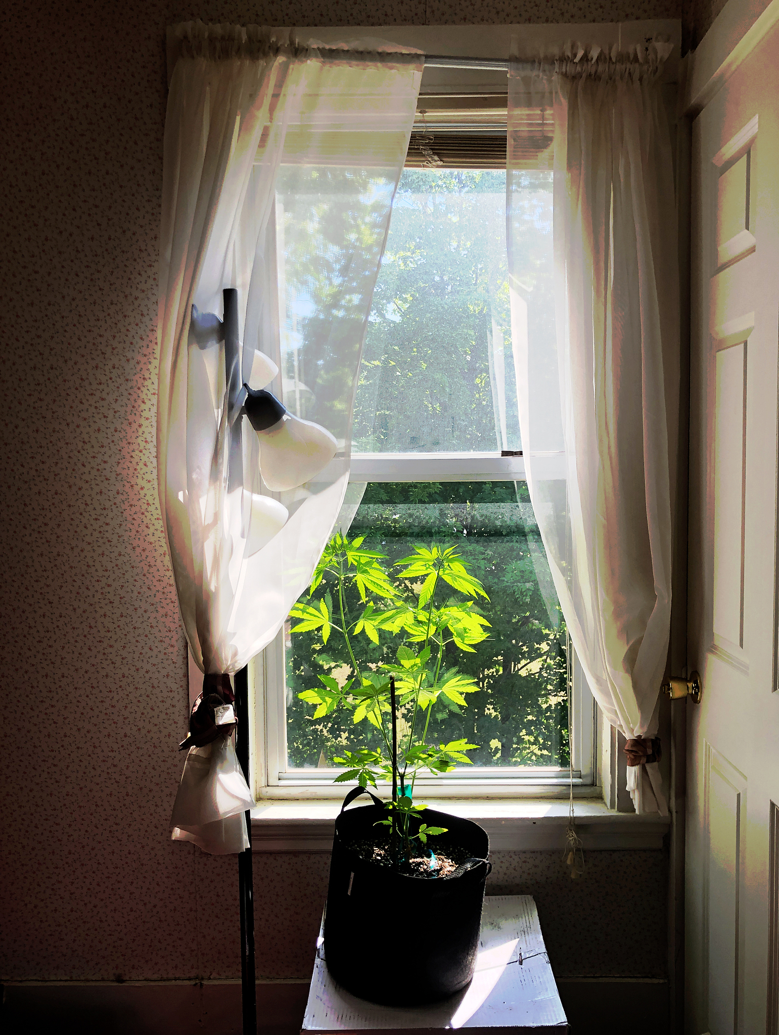 阳光正好,洒满窗台,温暖了整个房间