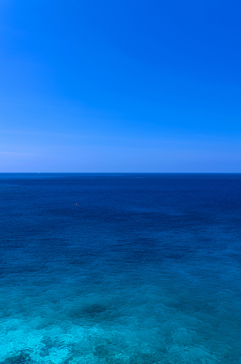 蓝色海洋里的浪花,蓝色天幕上的云朵,是春天里绽放的最美的花朵