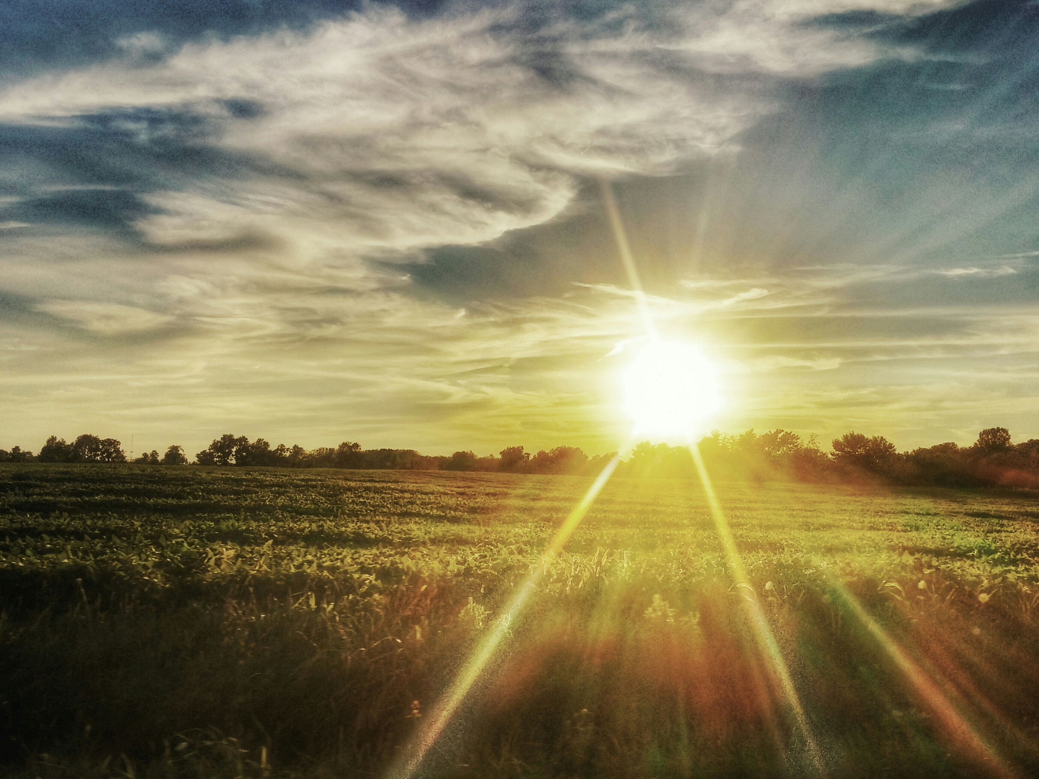这就是夏天,热烈而美好,愿我们都能珍惜每一刻的欢愉