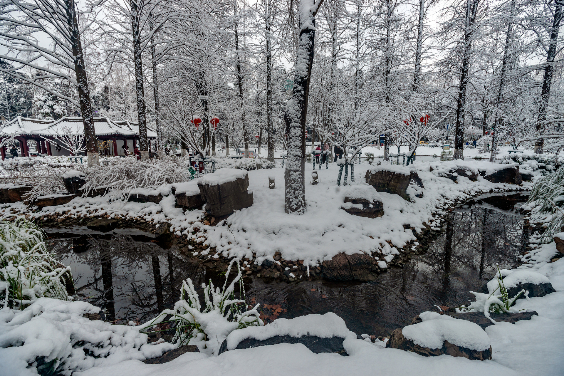 冬天的公园雪景图图片