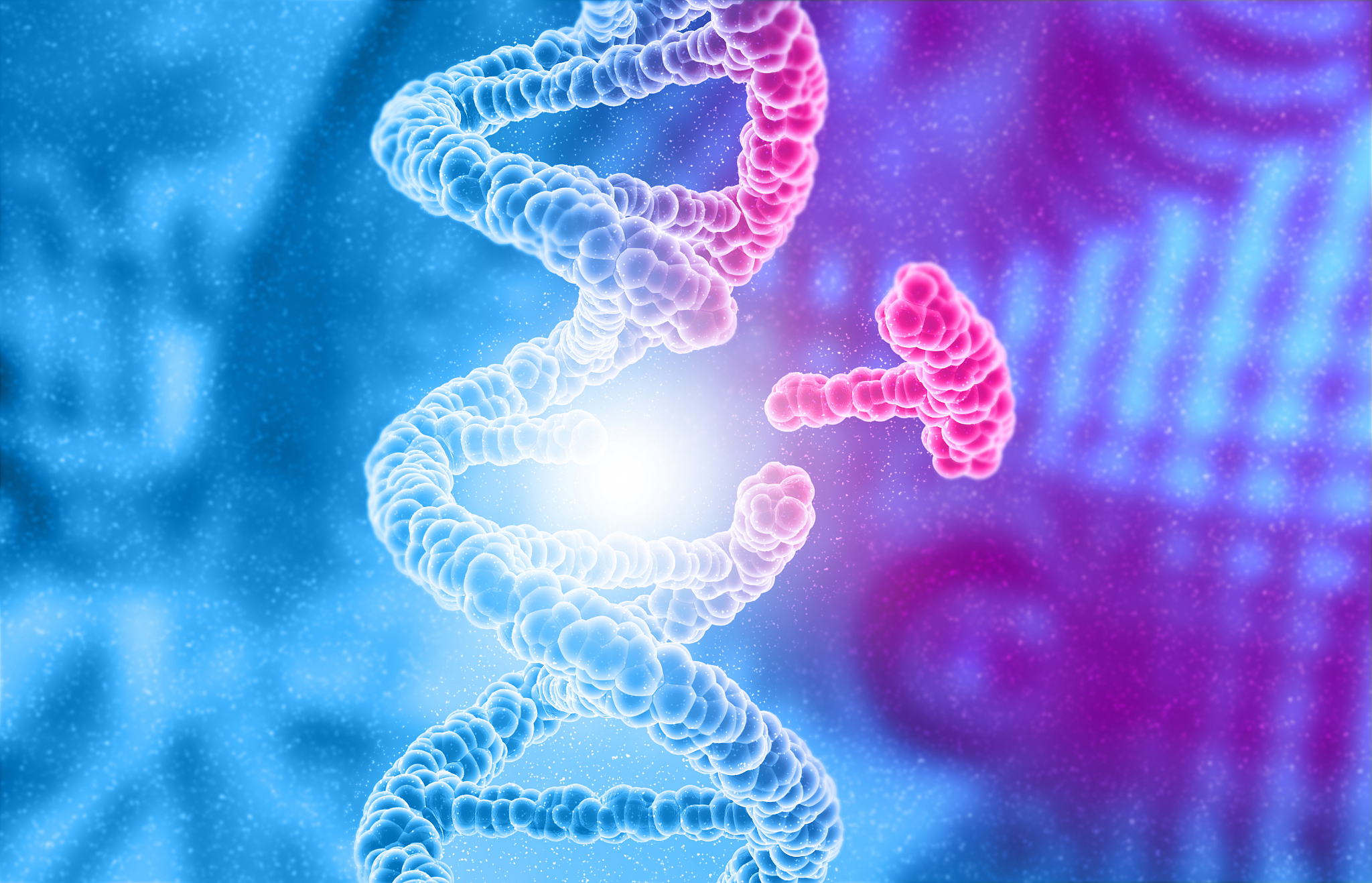 生命科学属于什么科学,生命科学属于哪个学科门类