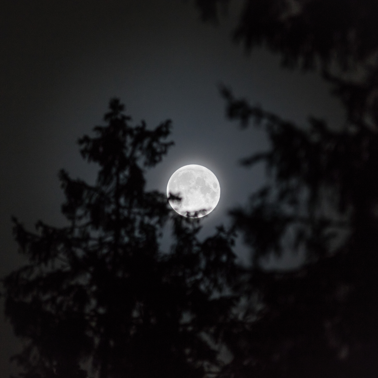 月落悠霜 文/翠袖寒