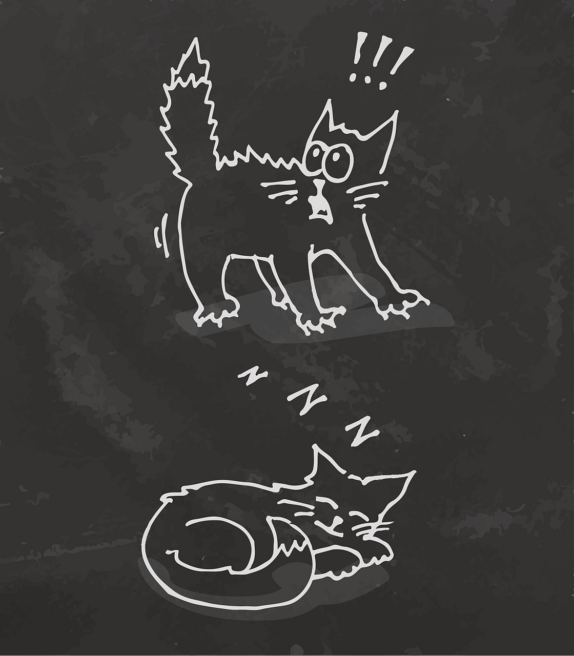 #教育启航计划#薛定谔的猫:  这个著名的思想实验描述了一只猫的生死