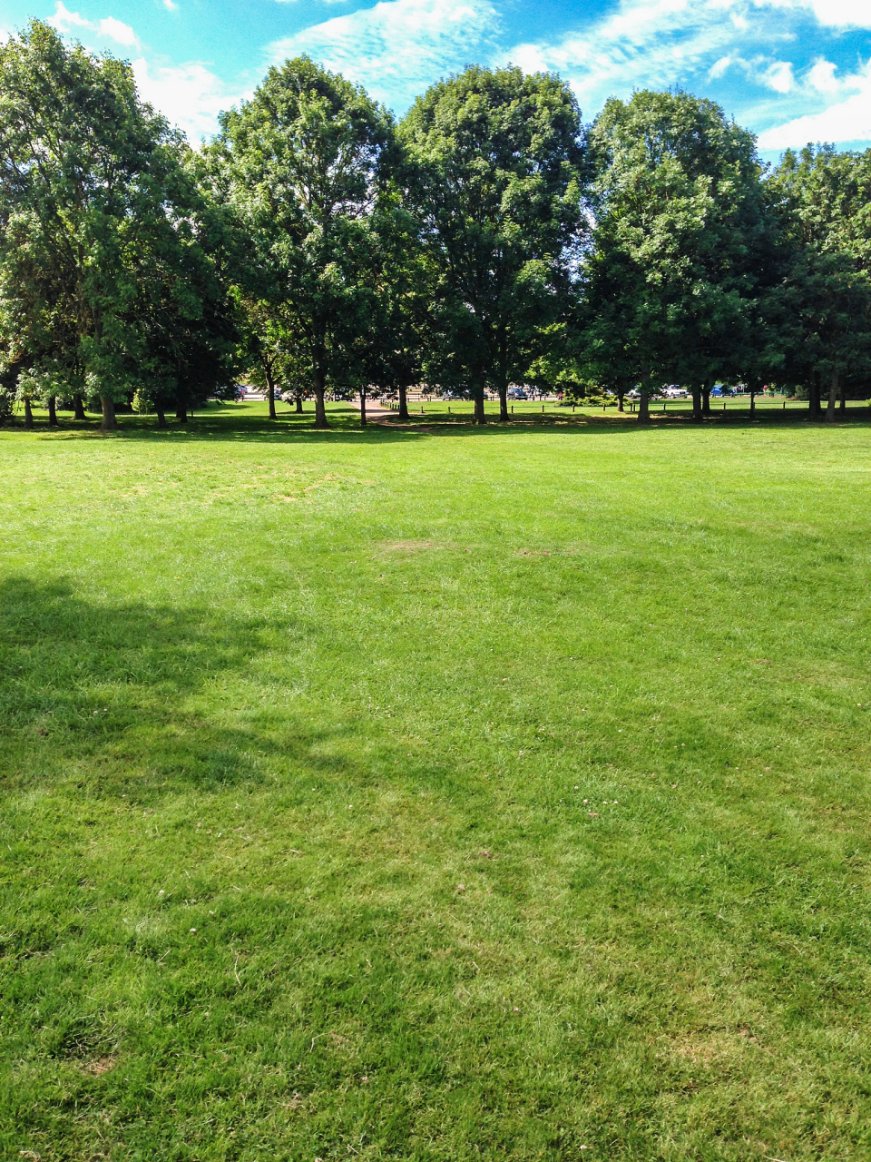 在这片绿草如茵的草地上,我感受到了大自然的宁静与和谐.