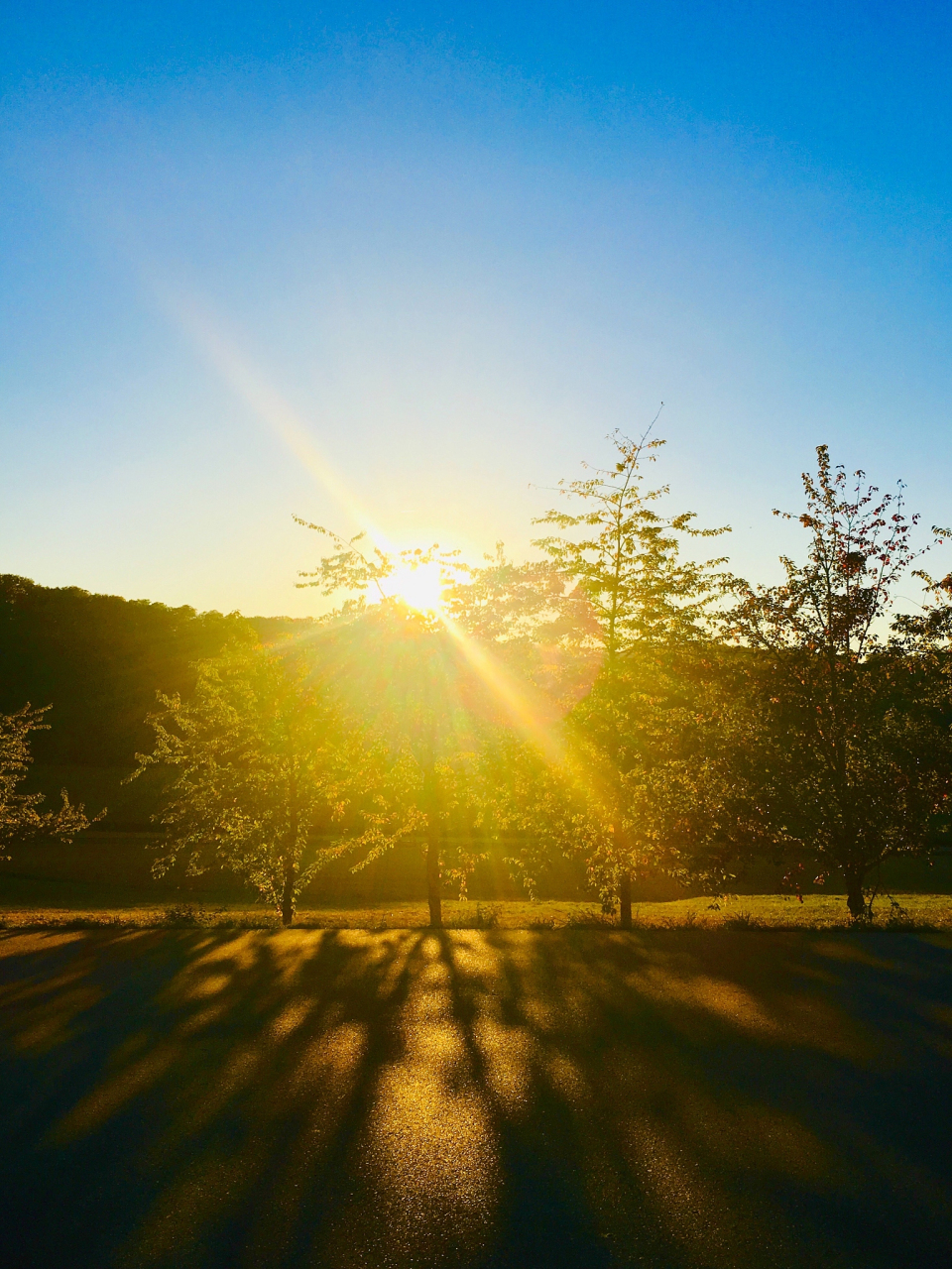 岁月正好,阳光明媚,心情舒畅.