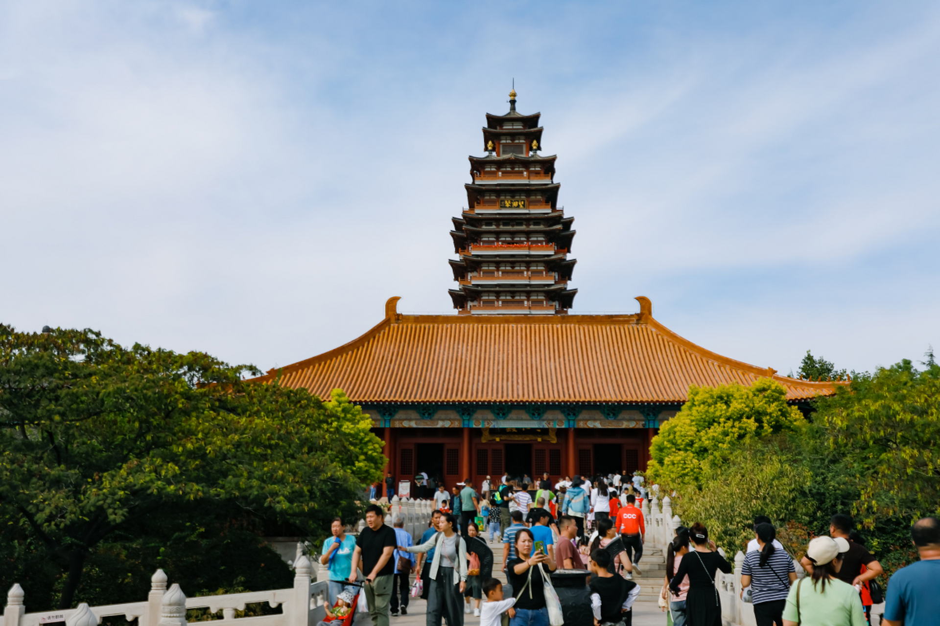 泰山好客多少钱图片