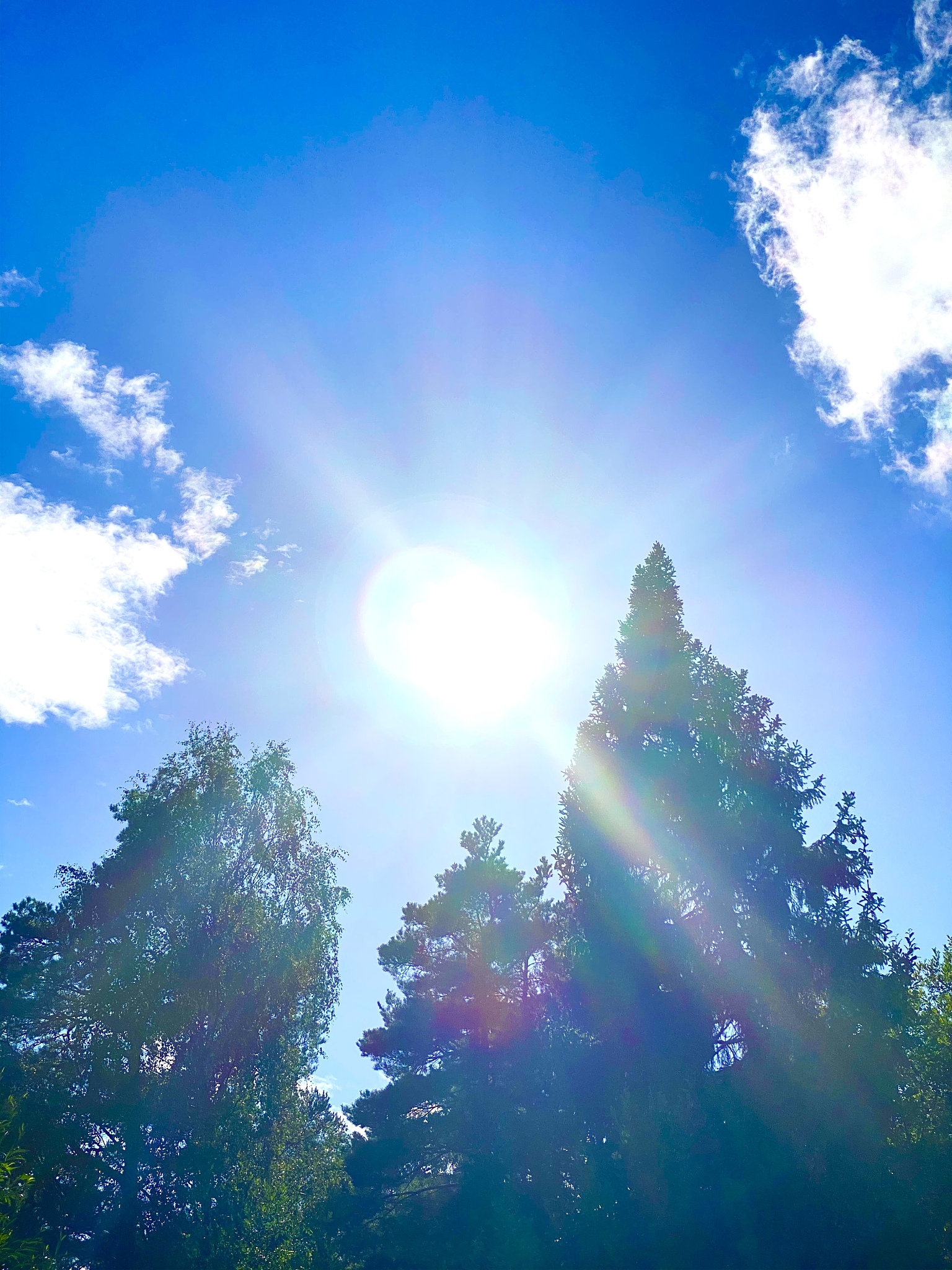 生活中的琐事无法阻挡我积极向上的步伐,反而让我更坚定地追求快乐