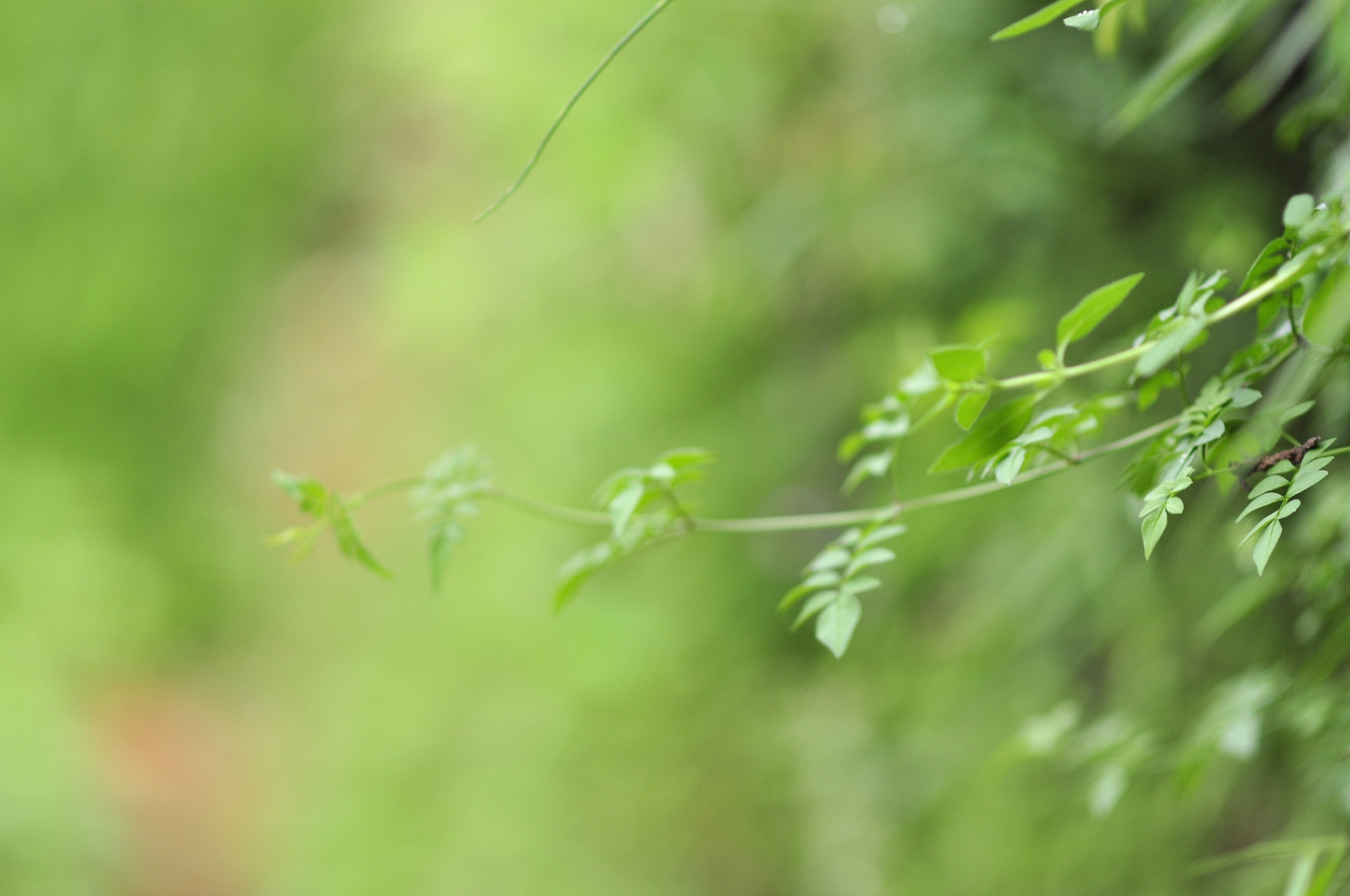 如何归还大自然一片生机盎然和纯净清新,如何实现人类与自然的和谐